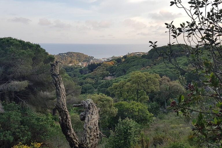 ruta circular Lloret de Dalt 1