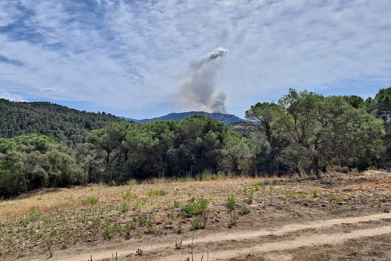 incendi des de st pere bosc
