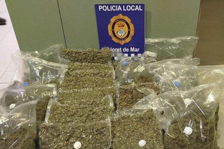 la droga comissada en la detenció copia