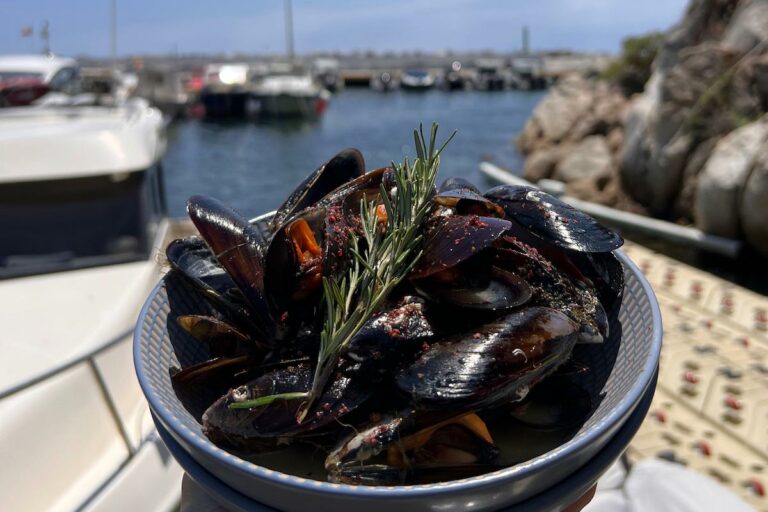 plat musclos campanya