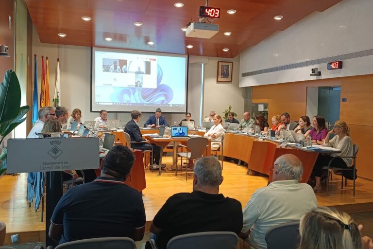 ple ordinari 28 juliol
