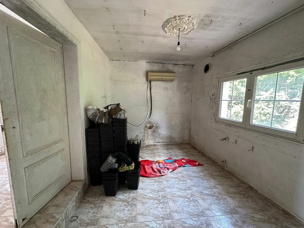 l'habitatge usat com a cultiu de drogues