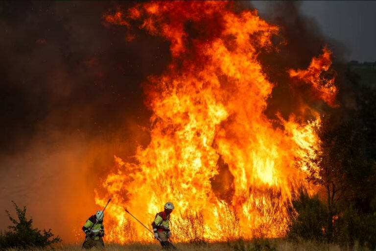 Un dels incendis que cremen a l'estat espanyol (El País)
