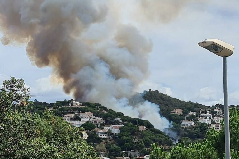 incendi 5