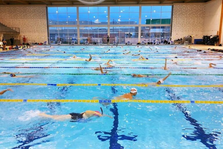 usuaris piscina