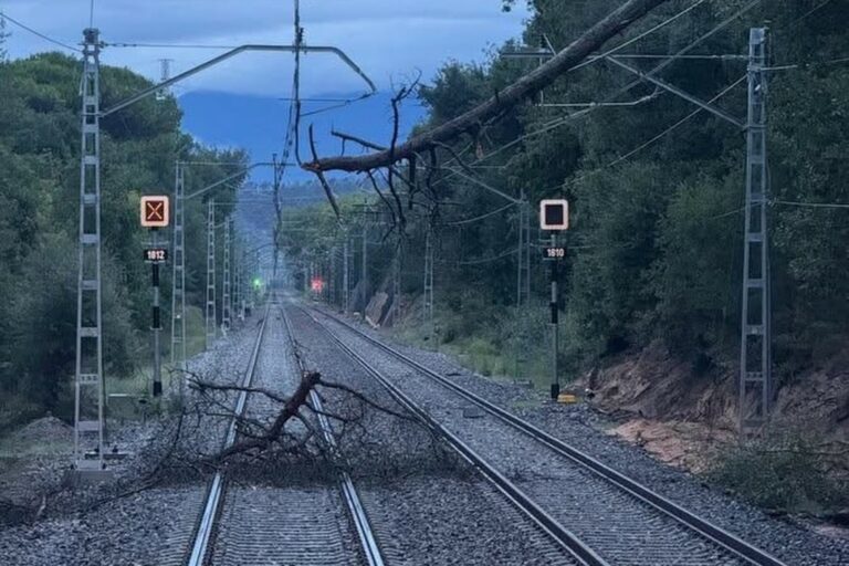 L'arbre caigut a la via del tren (Equip viari de Catalunya Ràdio)
