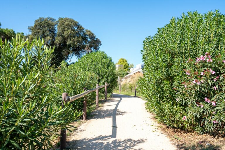 Un dels espais enjardinats de Lloret (Ajuntament de Lloret de Mar)