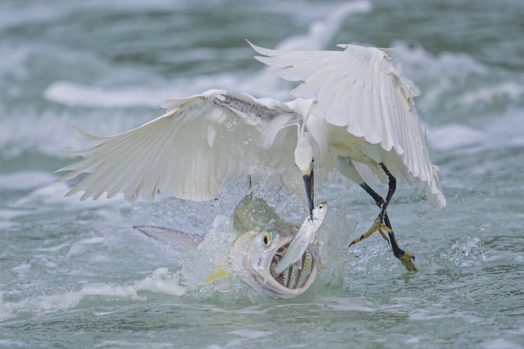 'It's mine' (Qingrong Yang)