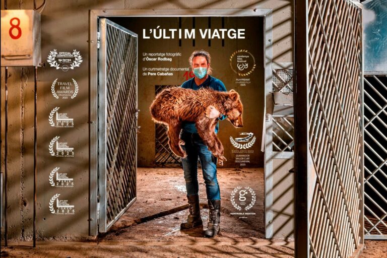 Cartell de 'L'últim viatge' amb tots els reconeixements