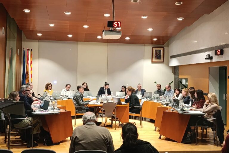 ple ordinari mes novembre 1