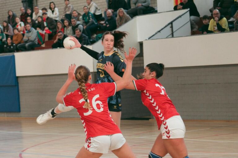 Un dels partits de l'última edició al Pavelló del Molí (CESA Catalunya)
