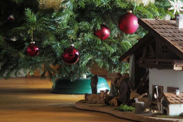 Un pessebre amb un arbre de Nadal de fons (Reus Digital)