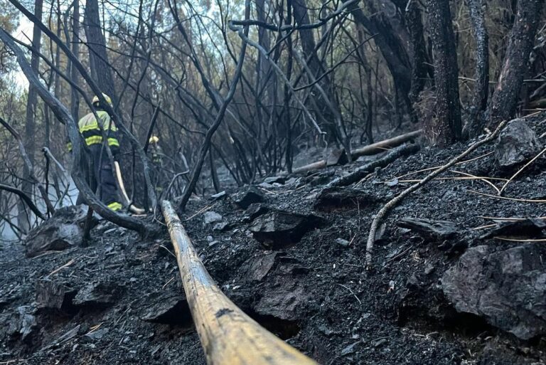 incendi forestal (Associació de Bombers de Lloret de Mar) (1)