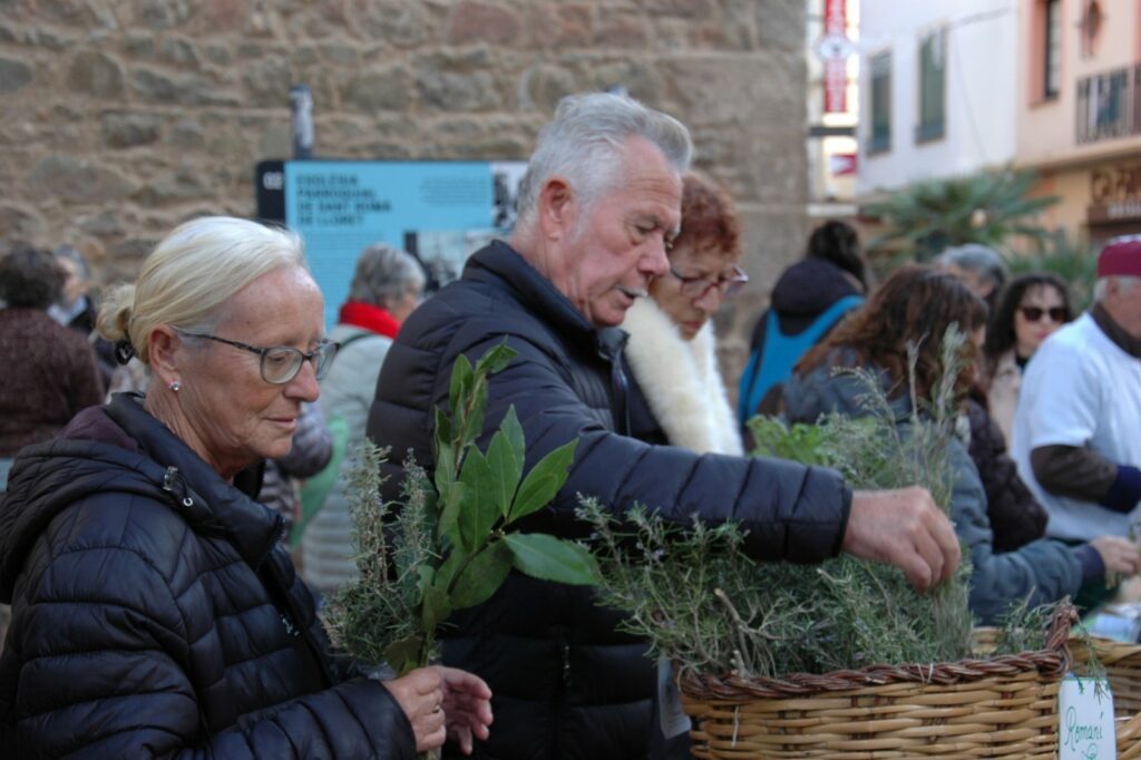 La Fira dels Sants Metges perd la tradicional mostra d'herbes remeieres (Xino-Xano)