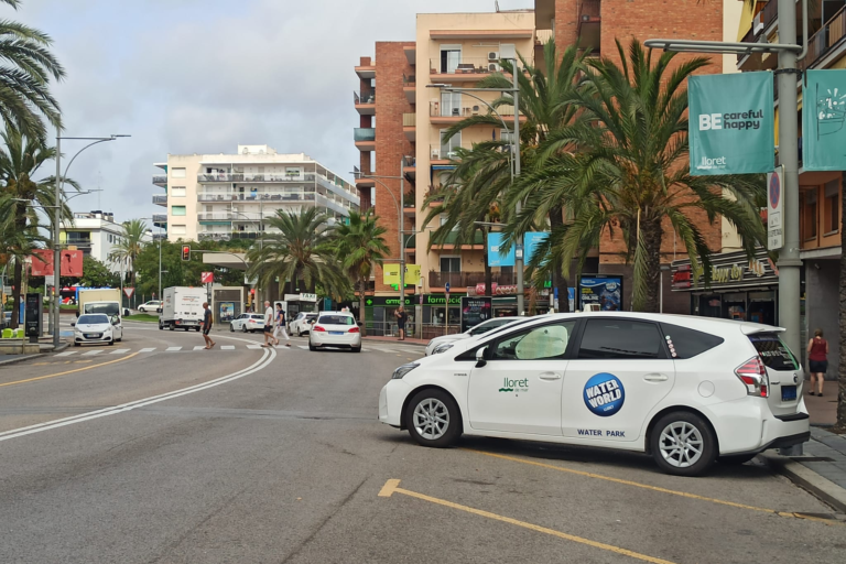 taxis (11)