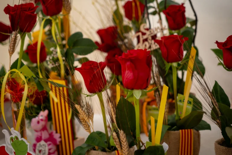 Sant Jordi 2023 (Ajuntament) (1)