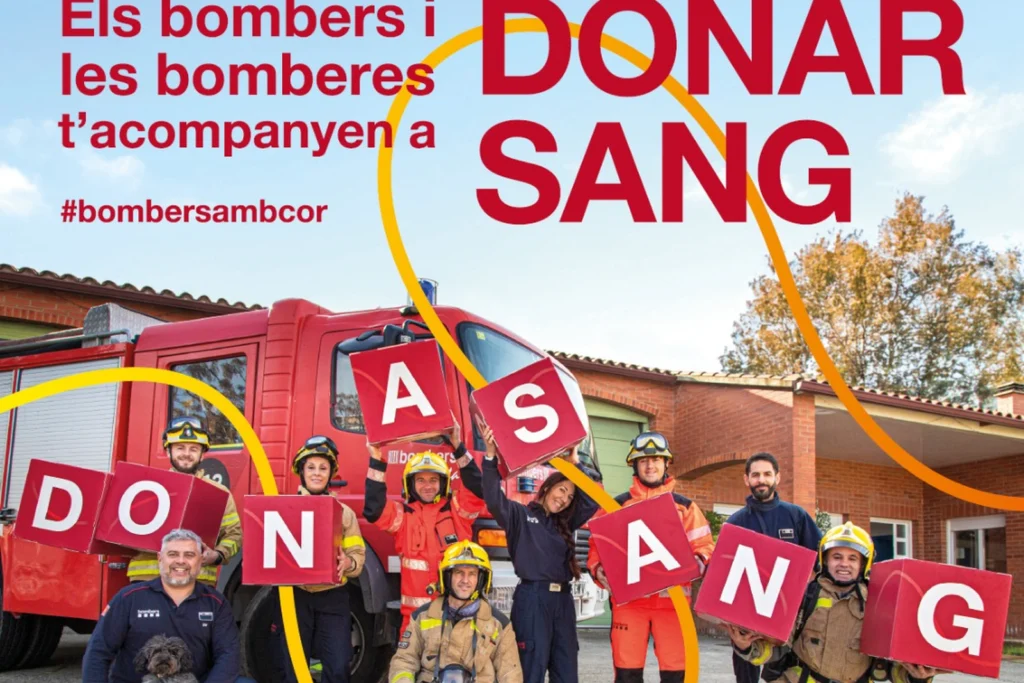 cartell bombers sang