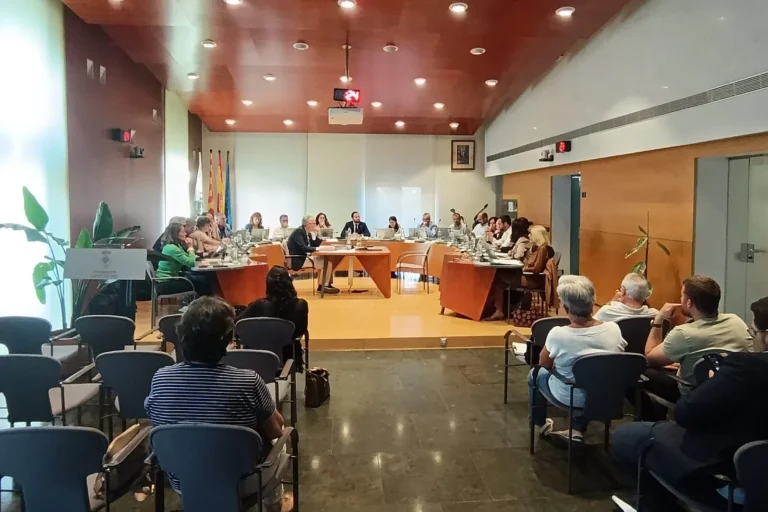 ple ordinari maig a Lloret