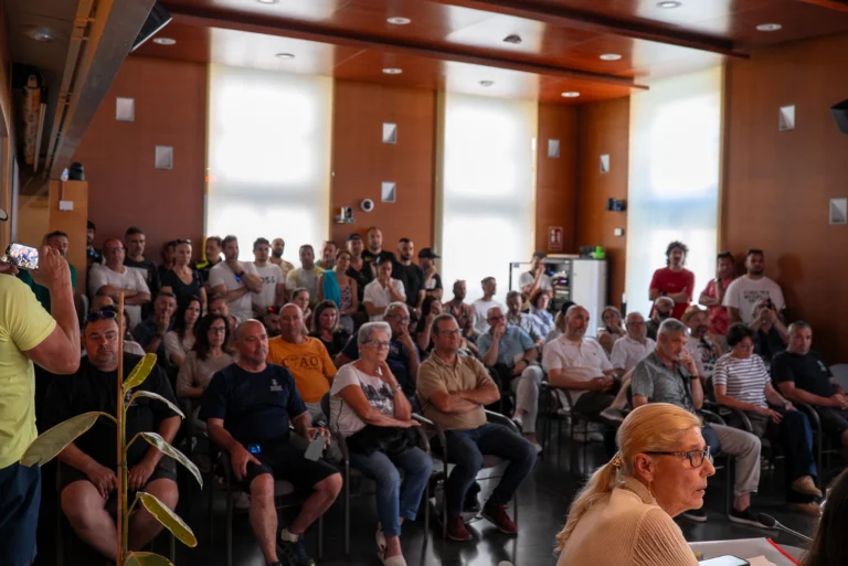public al ple extraordinari 1