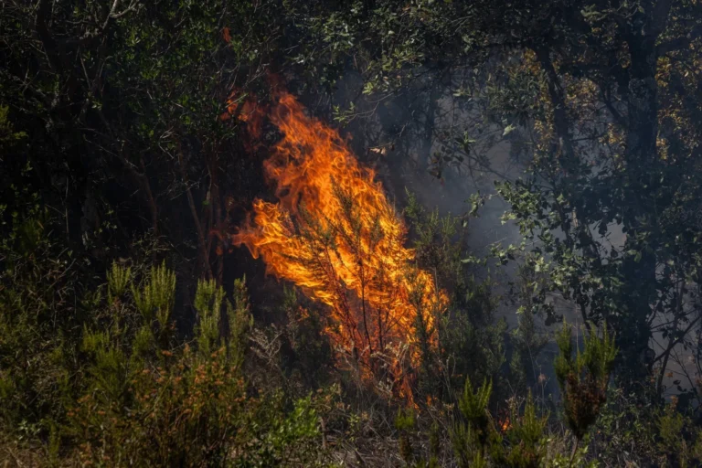 Una imatge de l'incendi a les Gavarres (ACN)