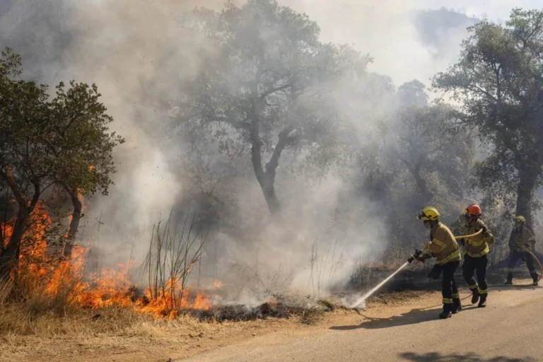 Treballant en l'incendi de les Gavarres (El Periódico)