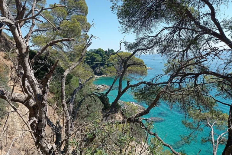 El camí de ronda a Can Juncadella (Capgròs)