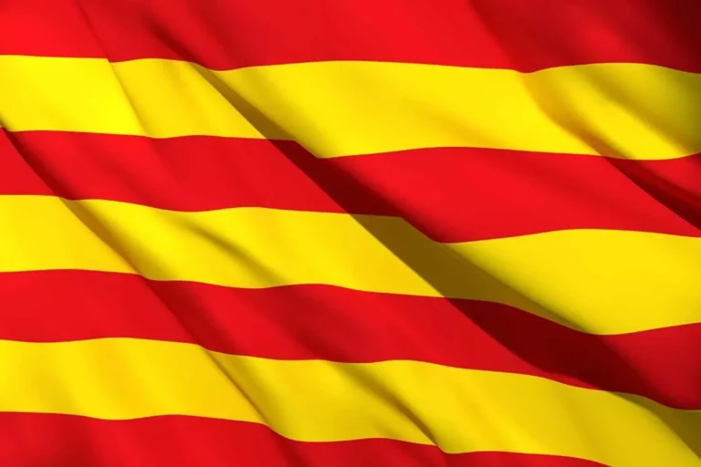 Una senyera (Sàpiens)