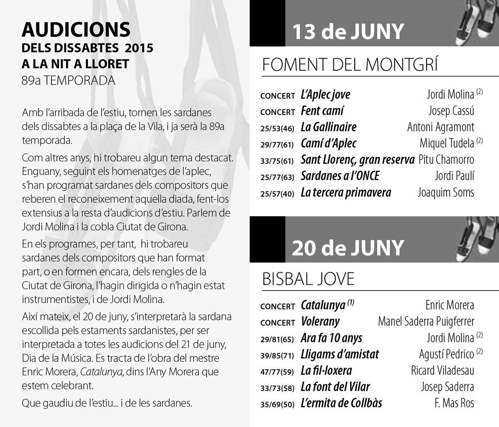 AUDICIONS2015-1