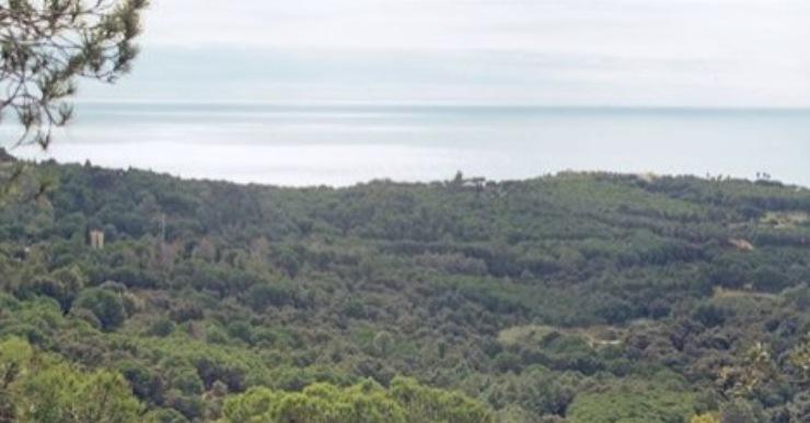 L’Ajuntament assegura que no s’incrementarà el nombre de places hoteleres a Costa Marcona