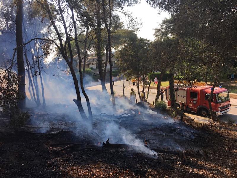 Un foc al bosc, del 2017.