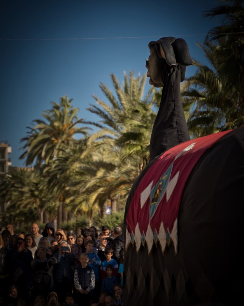 Festa Major de Sant Roma Trobada Gegantera24