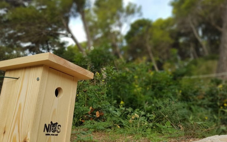 Les famílies han de resoldre les proves situades en les caixes repartides pel bosc.