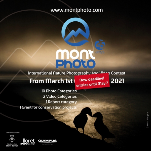 MontPhoto instagram 2021 ENG