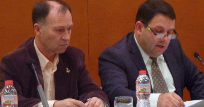 El ple aprova la constitució del Consell Municipal del Taxi