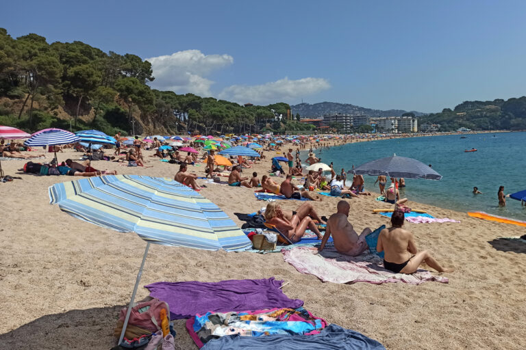 Banyistes a la platja de Fenals, aquesta temporada