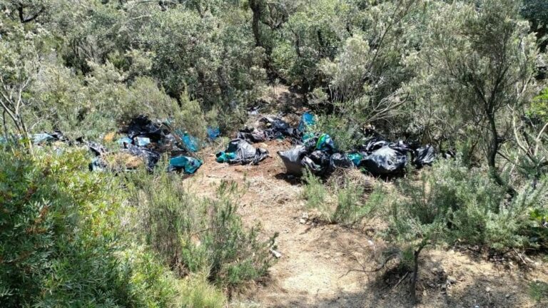 Les deixalles trobades en zona boscosa (Protecció Civil)