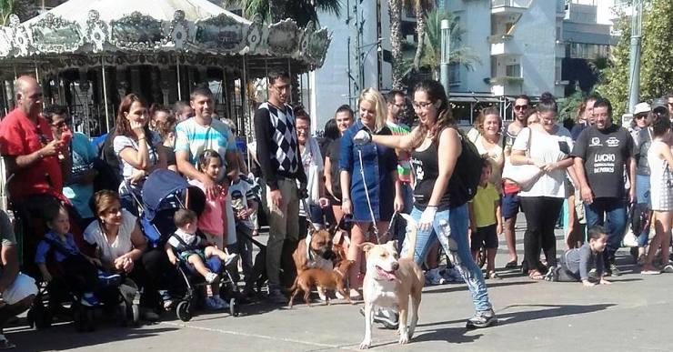 L’Ajuntament sanciona 64 propietaris d’animals de companyia