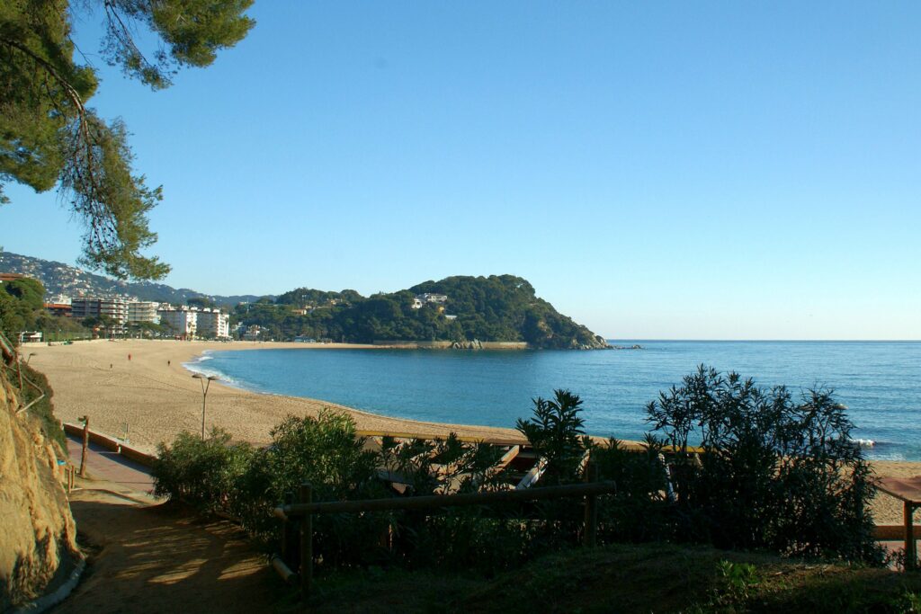 El bosc i la platja de Fenals, a on es farà la neteja.