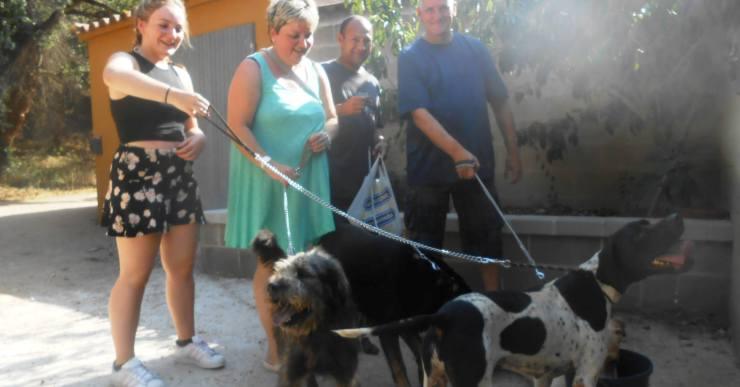 El CAAS recorda que posar el xip a les mascotes és obligatori per llei