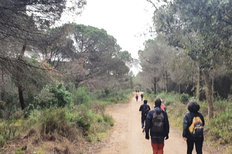 Una zona boscosa a la caminada de les Ermites (Adrià Lamelas)