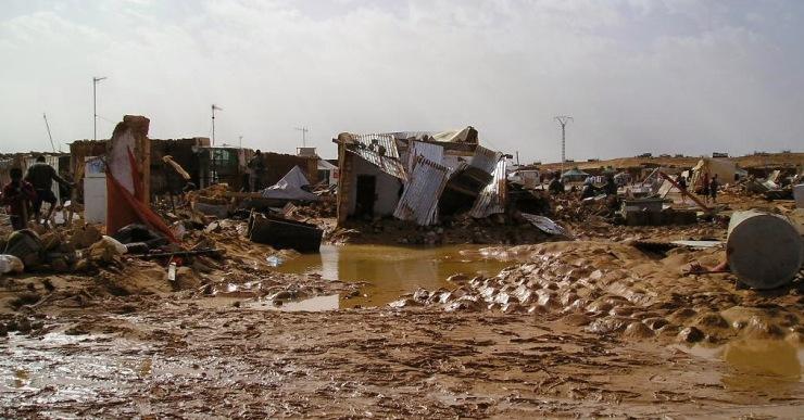 L’ONG Lloret – La Selva amb el Sàhara recull aliments per als camps de refugiats