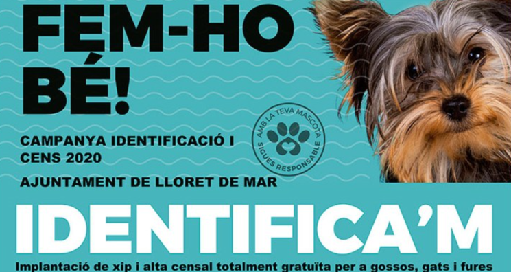 campanya identificacio mascotes