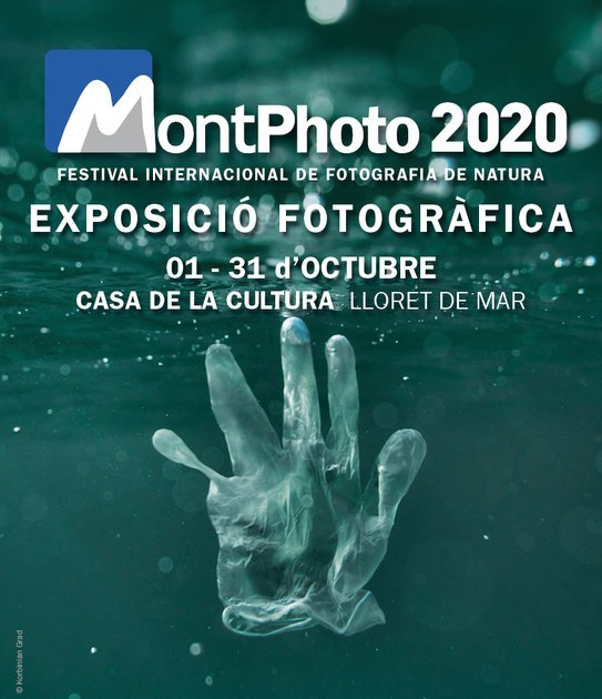 cartell de lexposicio de Montphoto 1
