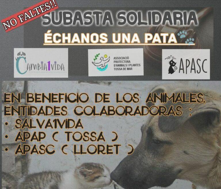 Tres associacions s’uneixen per muntar una subhasta solidària a favor dels animals
