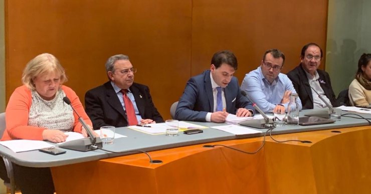 El grup de Ciutadans al ple del novembre del 2019 (NRLL)