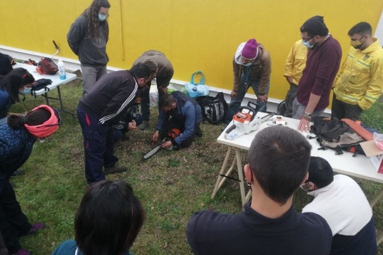 Un moment del curs de treballs forestals (ADF)