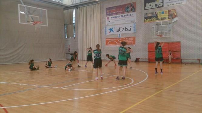 Aquesta setmana es disputa l’Eurobasket al pavelló del Molí
