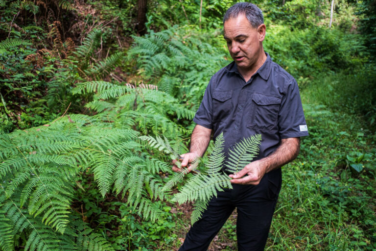 Evarist March, ensenyant les propietats de les plantes.