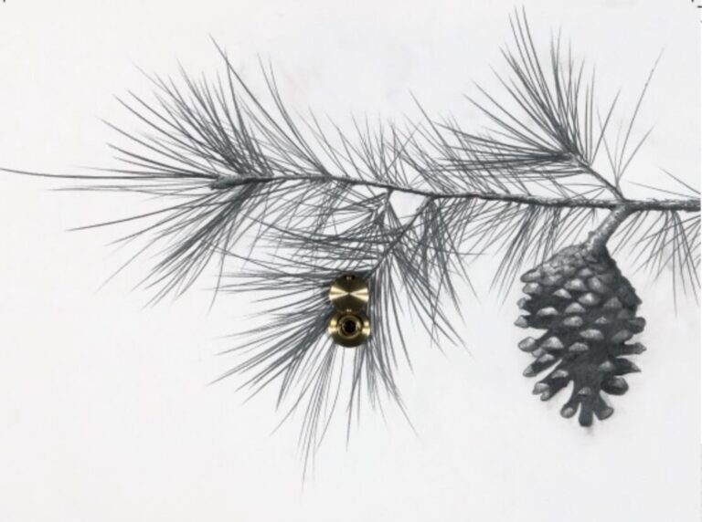 Una de les obres de l'exposició 'Contra natura'.