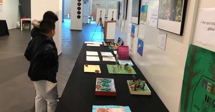 Inaugurada a la Casa de la Cultura l’exposició ‘Imatges que inspiren’, dels alumnes de 5è